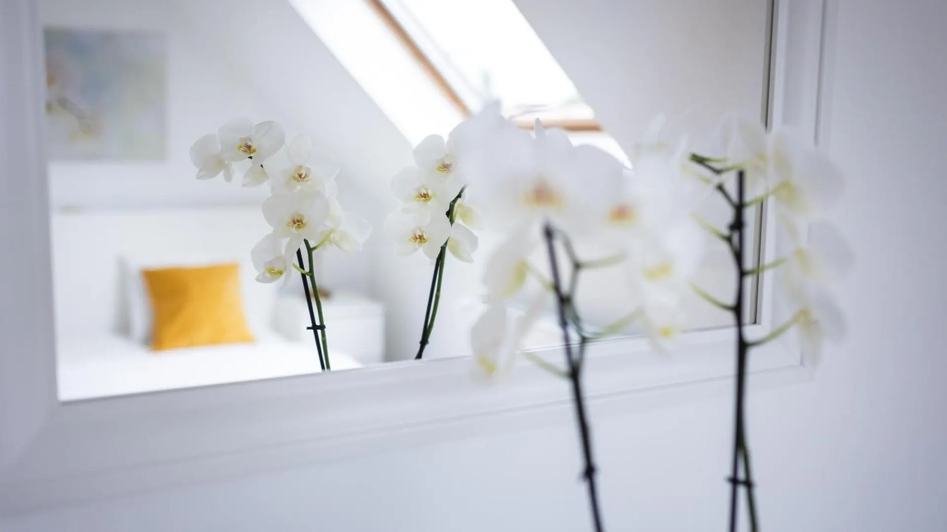 Residence Orchidee Zaventem 0*,