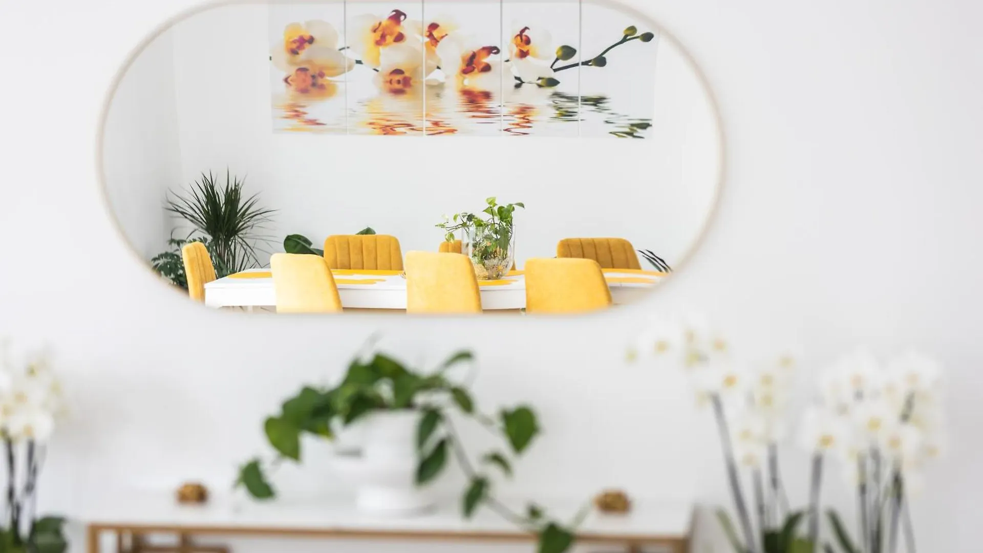 Bed & Breakfast Residence Orchidee Zaventem